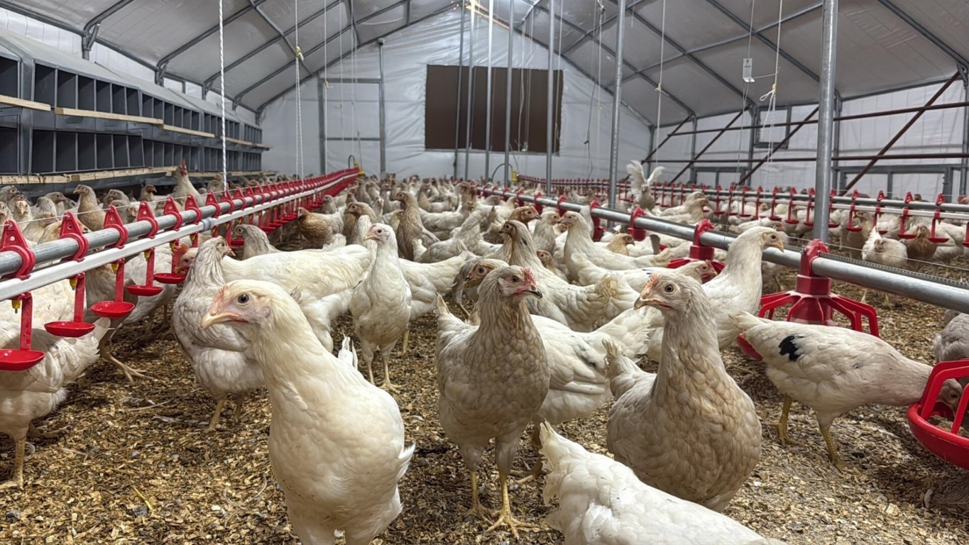  10 yıl içinde kapasiteyi 500 katına çıkarmayı hedefliyor