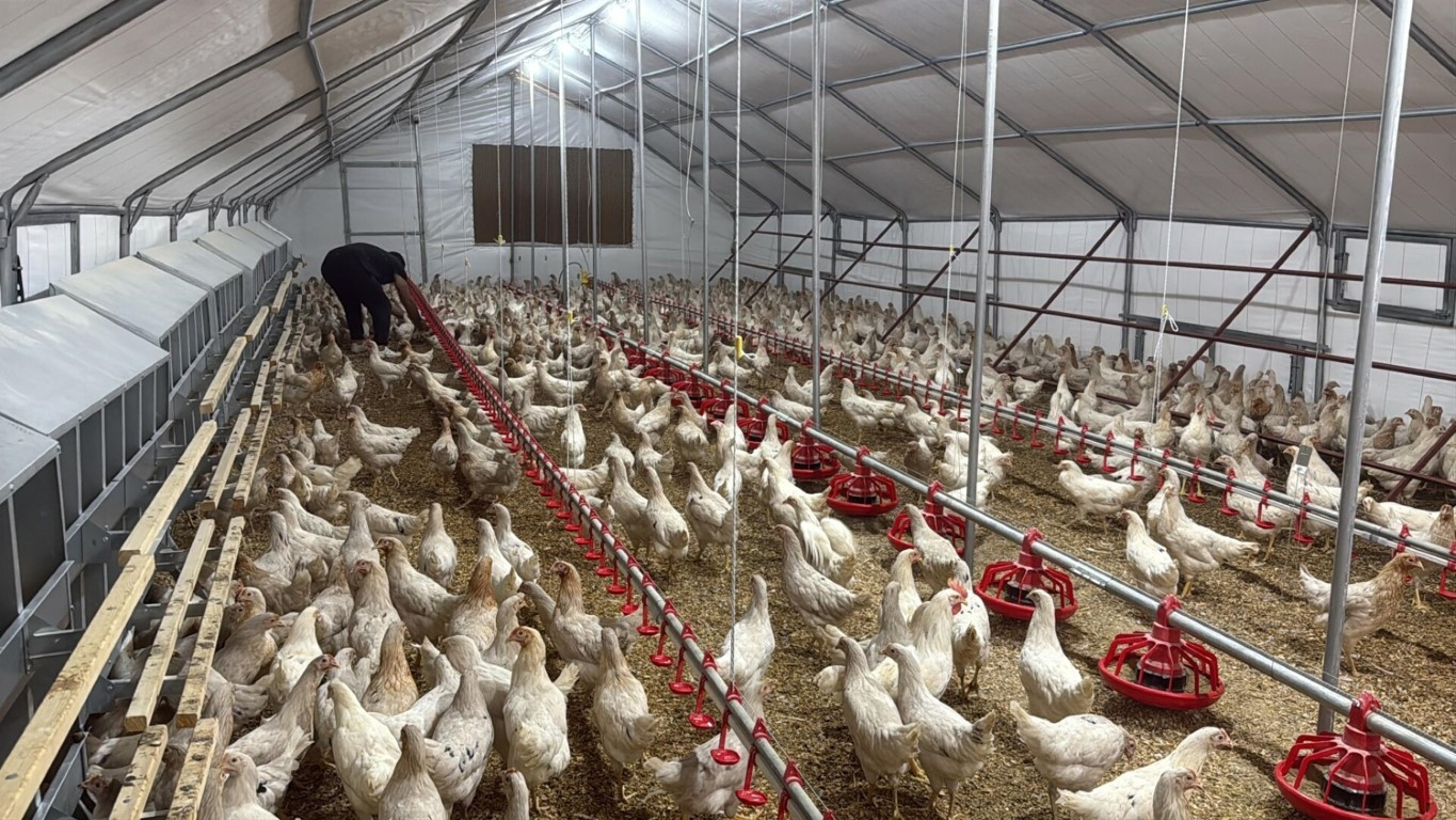  10 yıl içinde kapasiteyi 500 katına çıkarmayı hedefliyor