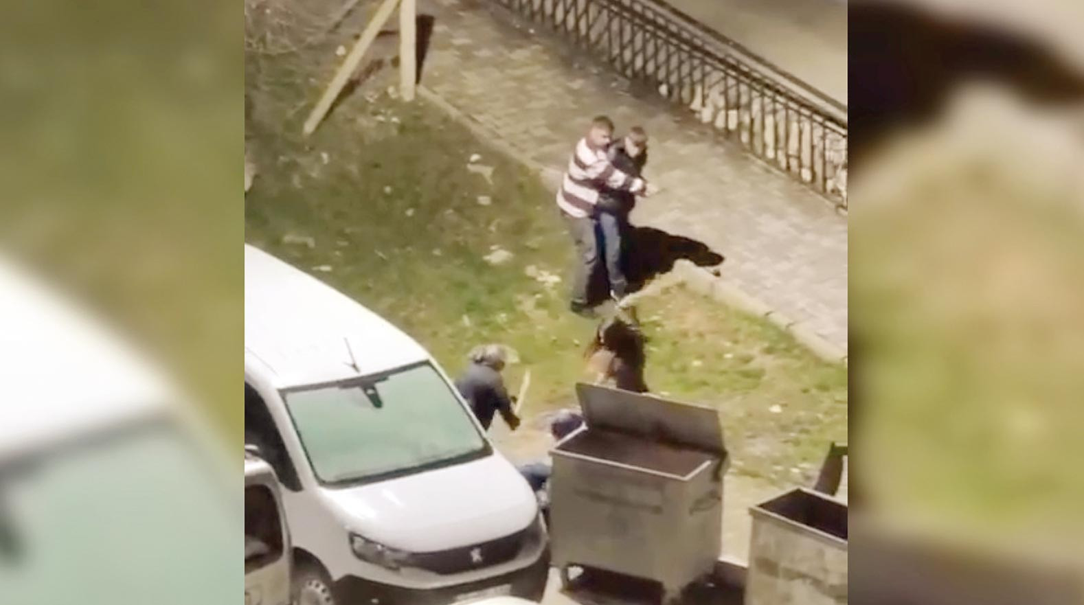 Zorba kocaya komşu dayağı