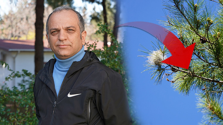 Baharın gelmesiyle yoğunluğu arttı: Uzman isim 'sessiz tehlike'ye karşı uyardı