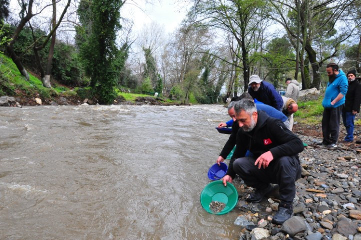 Türkiyenin dört bir yanından gelip altın arıyorlar | Devletin izin verdiği alanlardan topluyoruz