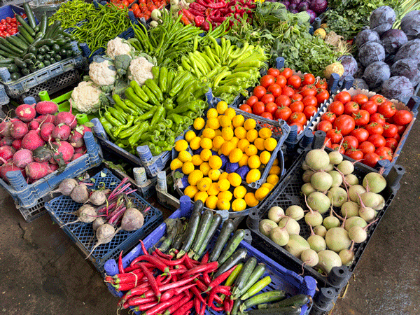 Akdeniz tipi beslenin