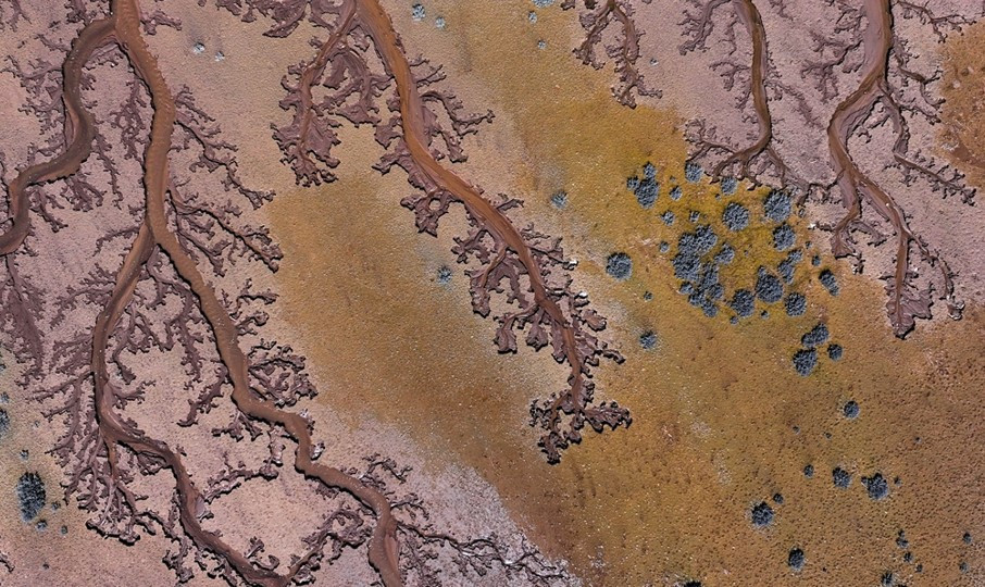 Ressam çalışması değil Görenler manzaraya hayran kaldı