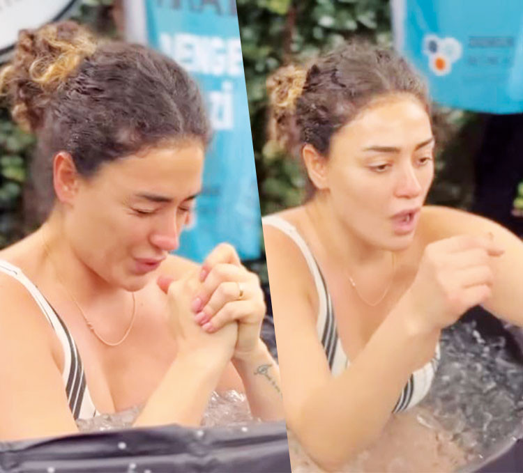 Bir delilik yaptım Bir delilik yaptım