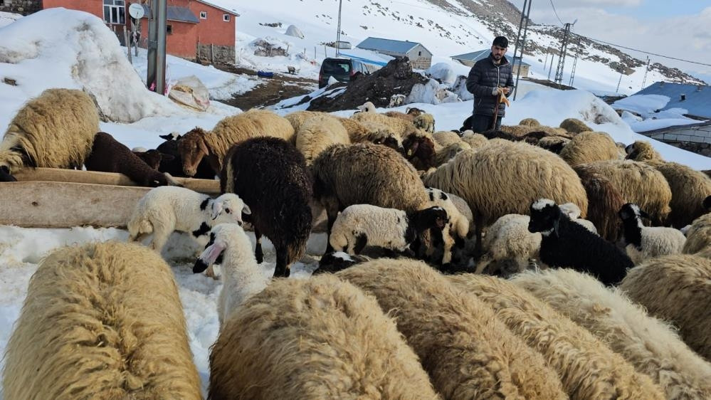  Vatandaşlar hayrete düştü
