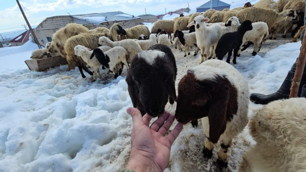  Vatandaşlar hayrete düştü