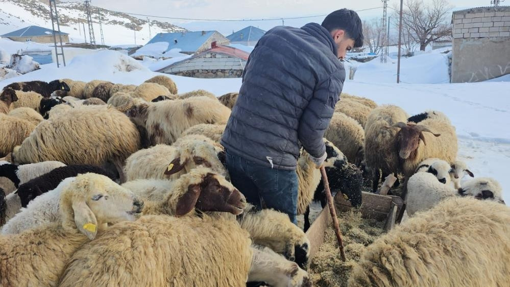  Vatandaşlar hayrete düştü