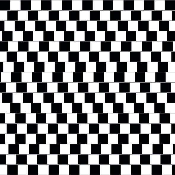 GÖZ NEDEN YANILIYOR