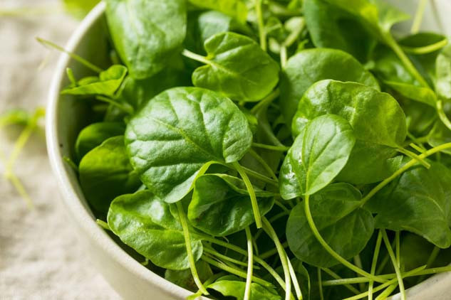 Kilo verme ve metabolizmaya etkisi