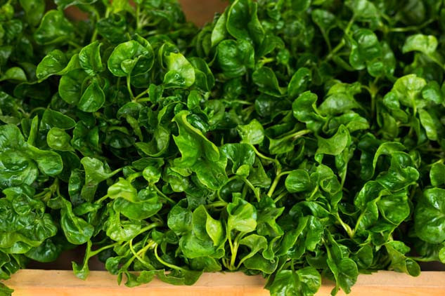  Dünyanın en sağlıklı sebzesi Beslenmenize böyle dahil edin