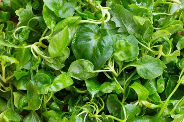  Dünyanın en sağlıklı sebzesi Beslenmenize böyle dahil edin