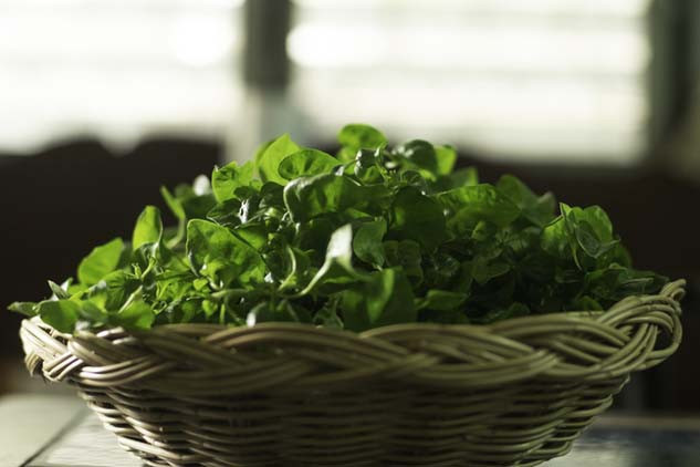  Dünyanın en sağlıklı sebzesi Beslenmenize böyle dahil edin