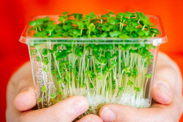  Dünyanın en sağlıklı sebzesi Beslenmenize böyle dahil edin