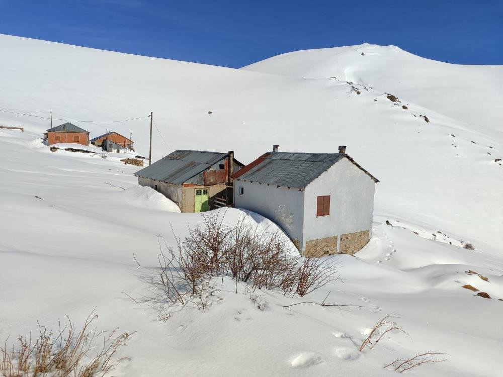 Sezon başında ortaya çıkıyorlar Son 3 yıldır aynı sorunu yaşıyoruz Sezon başında ortaya çıkıyorlar Son 3 yıldır aynı sorunu yaşıyoruz