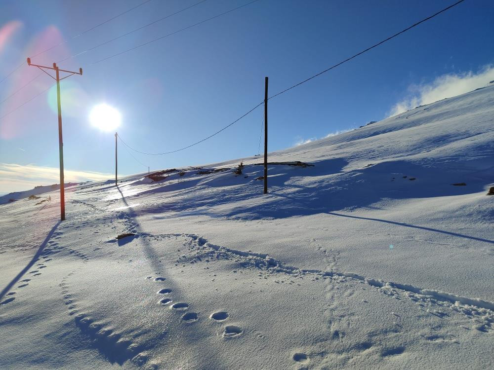 Sezon başında ortaya çıkıyorlar Son 3 yıldır aynı sorunu yaşıyoruz Sezon başında ortaya çıkıyorlar Son 3 yıldır aynı sorunu yaşıyoruz