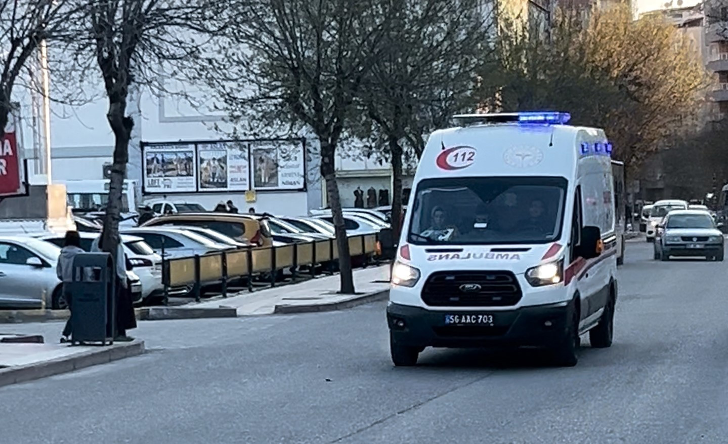 Ağaç budarken kolunu kesti, ambulansta kalp krizi geçirdi