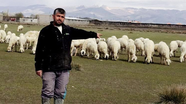 Yeme içme ve sigorta da işverene ait: Bu maaşla çalışacak çoban bulamıyorlar