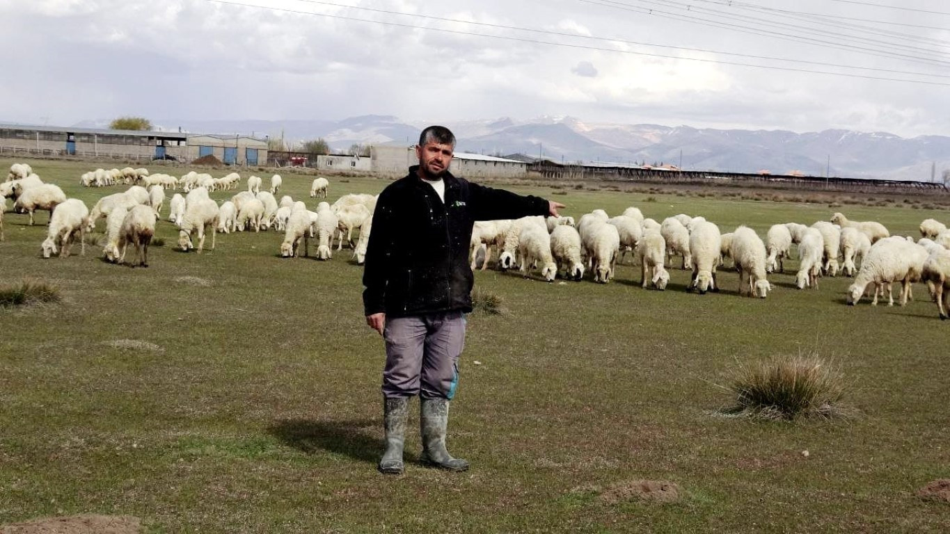  Bu maaşla çalışacak çoban bulamıyorlar