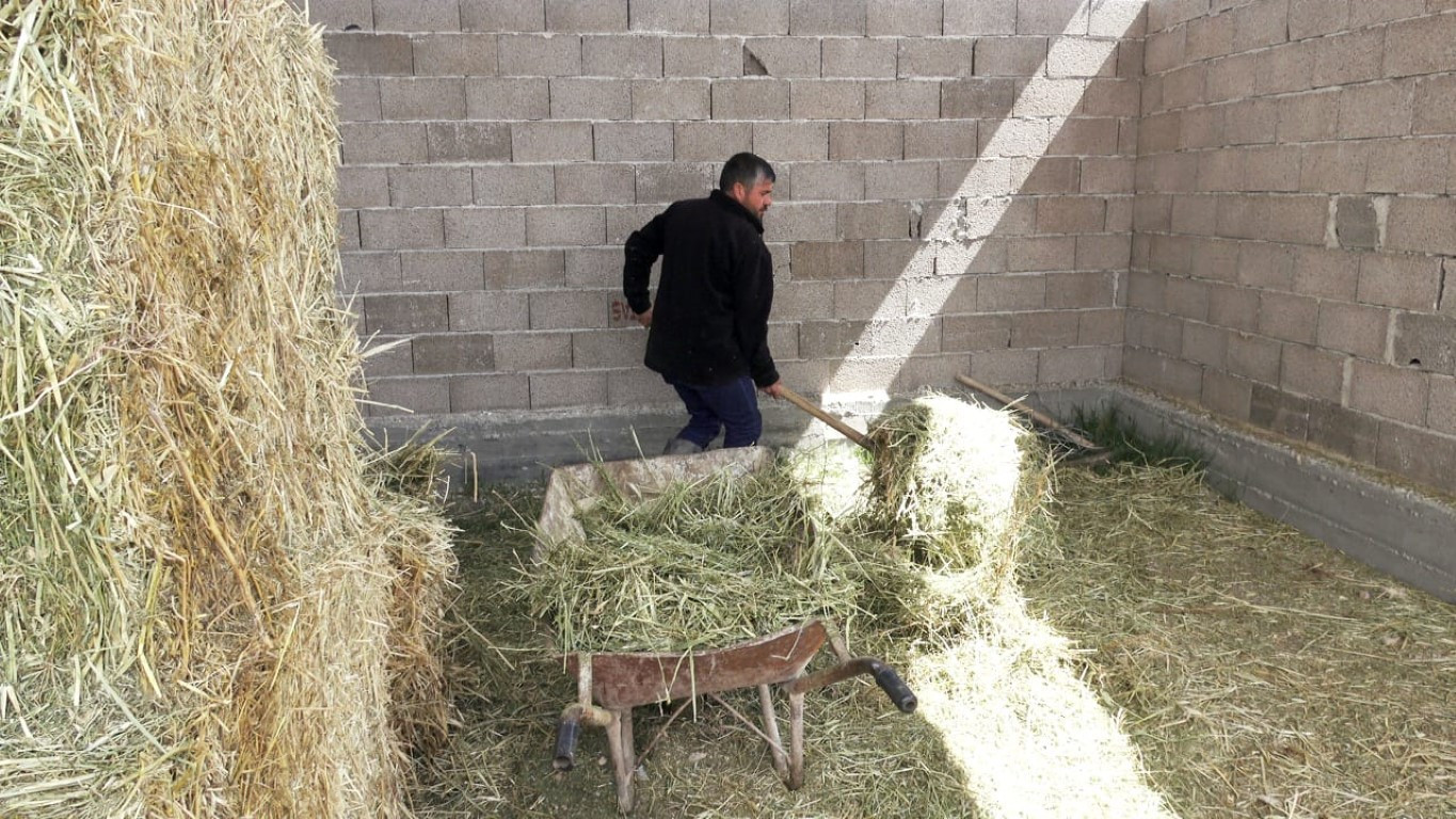  Bu maaşla çalışacak çoban bulamıyorlar