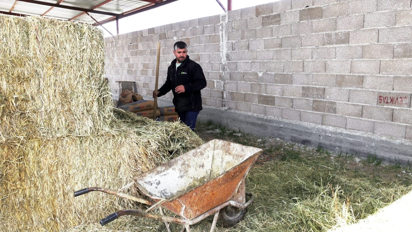  Bu maaşla çalışacak çoban bulamıyorlar