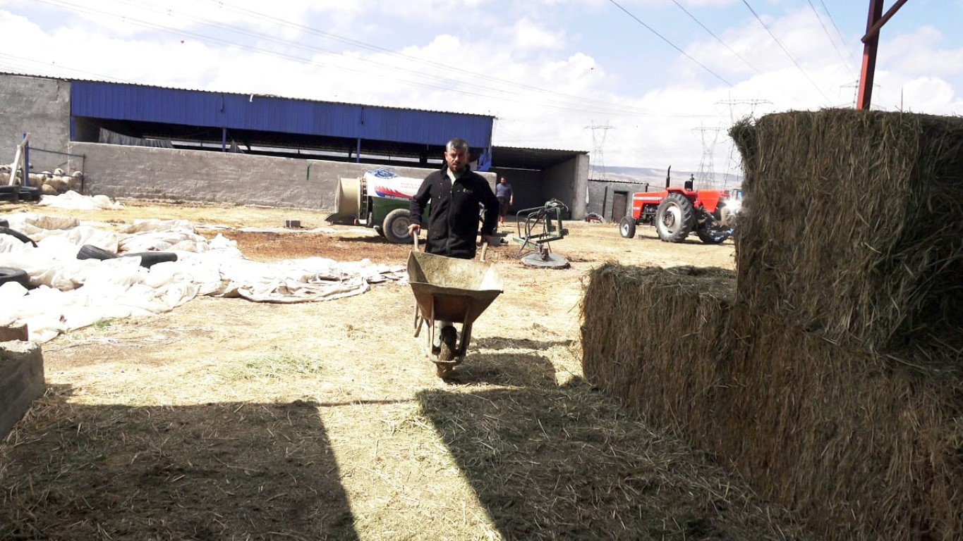  Bu maaşla çalışacak çoban bulamıyorlar