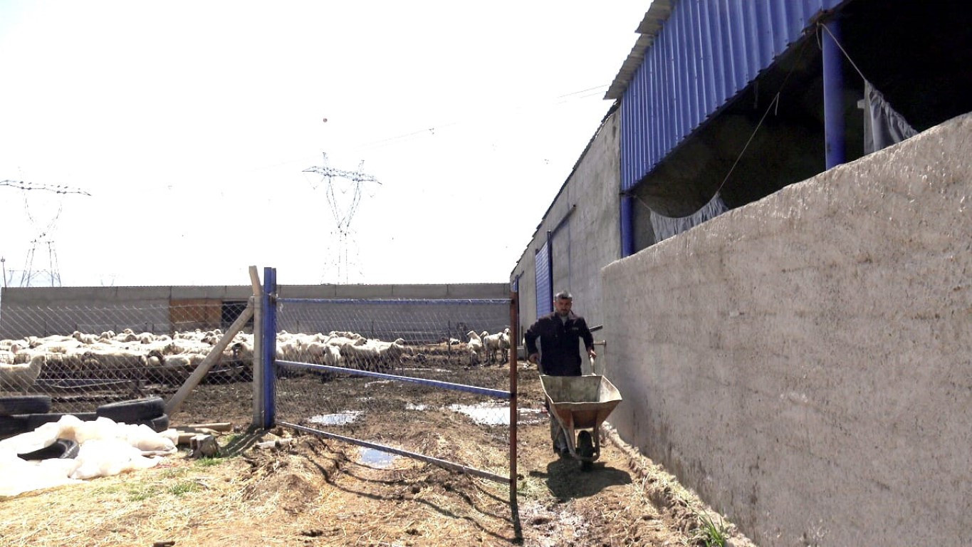  Bu maaşla çalışacak çoban bulamıyorlar