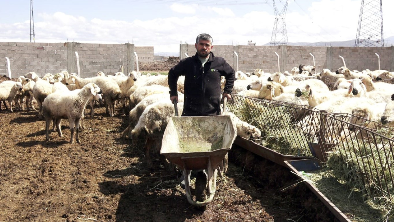  Bu maaşla çalışacak çoban bulamıyorlar