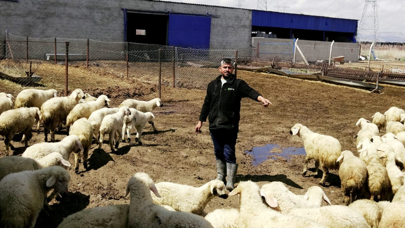  Bu maaşla çalışacak çoban bulamıyorlar