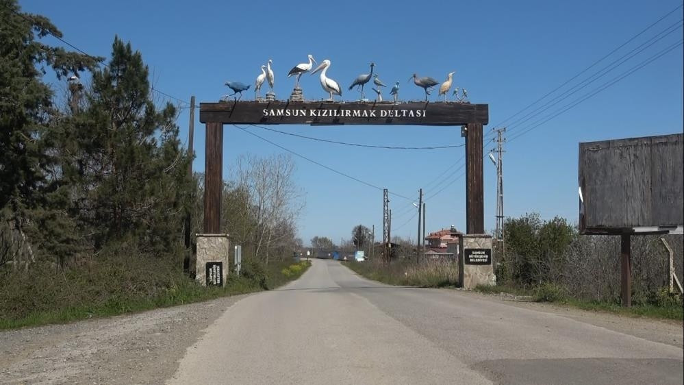 Afrikadan 7 bin kilometre yol kat ederek geldiler: Bölgede 5 ay kalacaklar