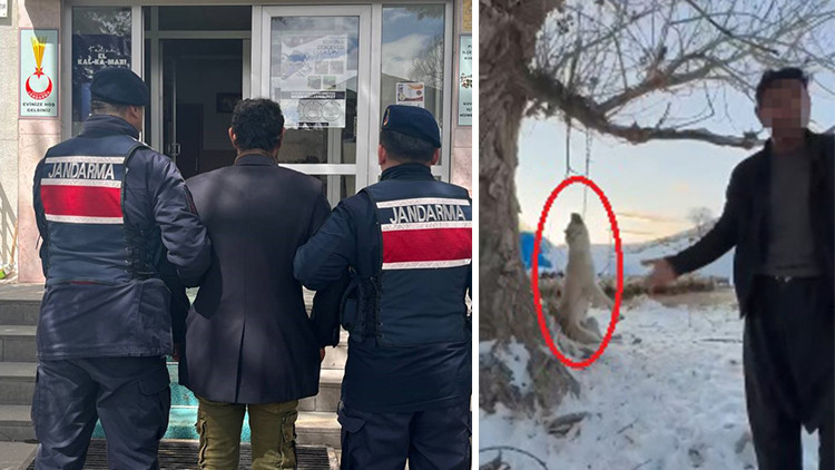 Fazla yediği için köpeği katleden kişi tutuklandı