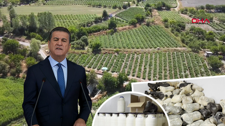 Mustafa Sarıgül'ü sevindirecek haber | Sık sık methediyordu: Slow Food Ark of Taste listesine alındı