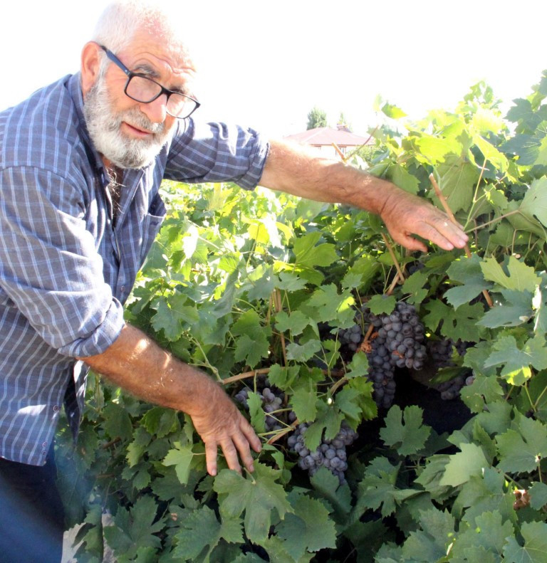 Slow Food Ark of Taste listesine alındı Slow Food Ark of Taste listesine alındı