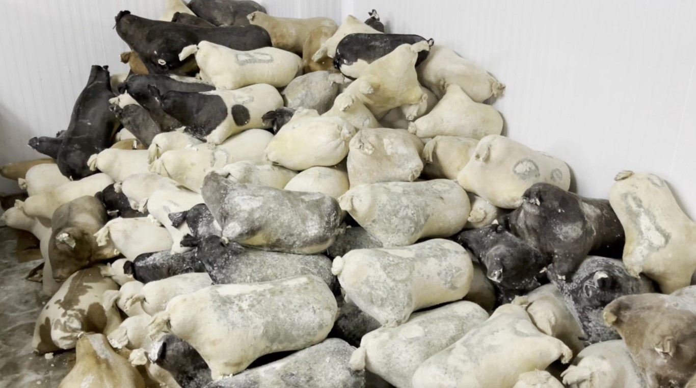 Slow Food Ark of Taste listesine alındı Slow Food Ark of Taste listesine alındı