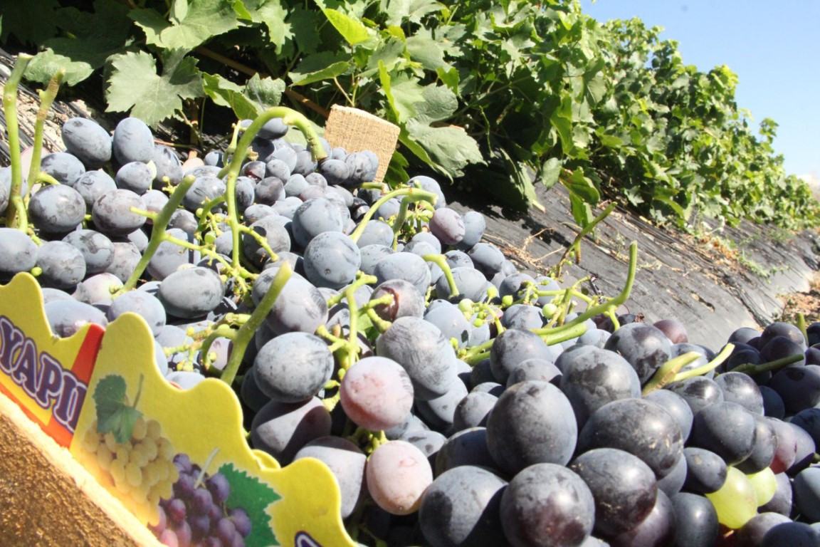 Slow Food Ark of Taste listesine alındı Slow Food Ark of Taste listesine alındı