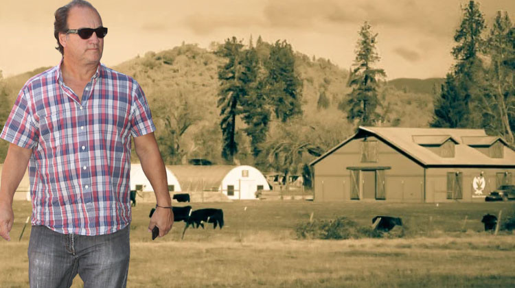 Ünlü oyuncu aradığı huzuru çiftliğinde buldu: 50 tane buzağım var, peşimden ayrılmıyorlar!