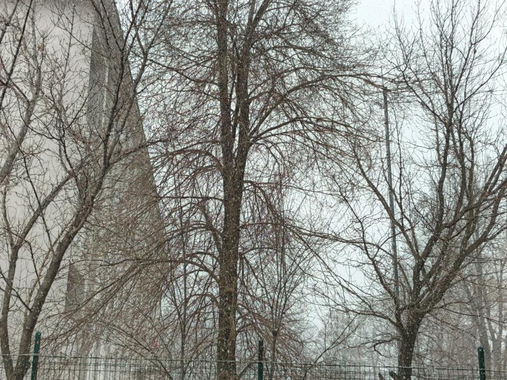  Birçok il beyaza büründü Kalktık kar yağıyor, bu sene kış çok ağır geçti