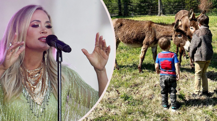 Bir ses yarışmasıyla prıl pırıl parlamıştı: Çocuklarım beni üstü başı kir pas içinde yemek yapan bir anne olarak hatırlasın!