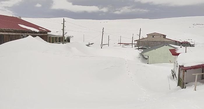  3 metre karın altından çıktı
