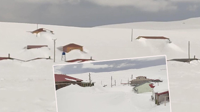 Havaların ısınmasıyla görülmeye başlandı: 3 metre karın altından çıktı