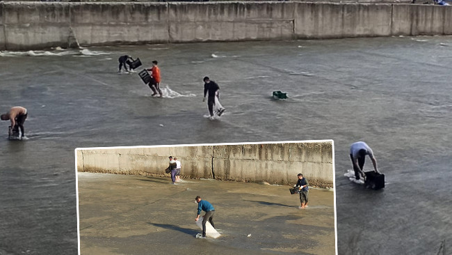 Çizmelerle suya girdiler: Çuval ve kasalarla topladılar!