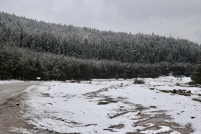 Güne kar yağışı ile uyandılar: Birçok il beyaz örtüyle kaplandı Kış gitmiyorum diye geri geldi
