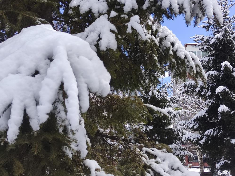  Lapa lapa kar yağıyor Kış maalesef bizi terk etmiyor