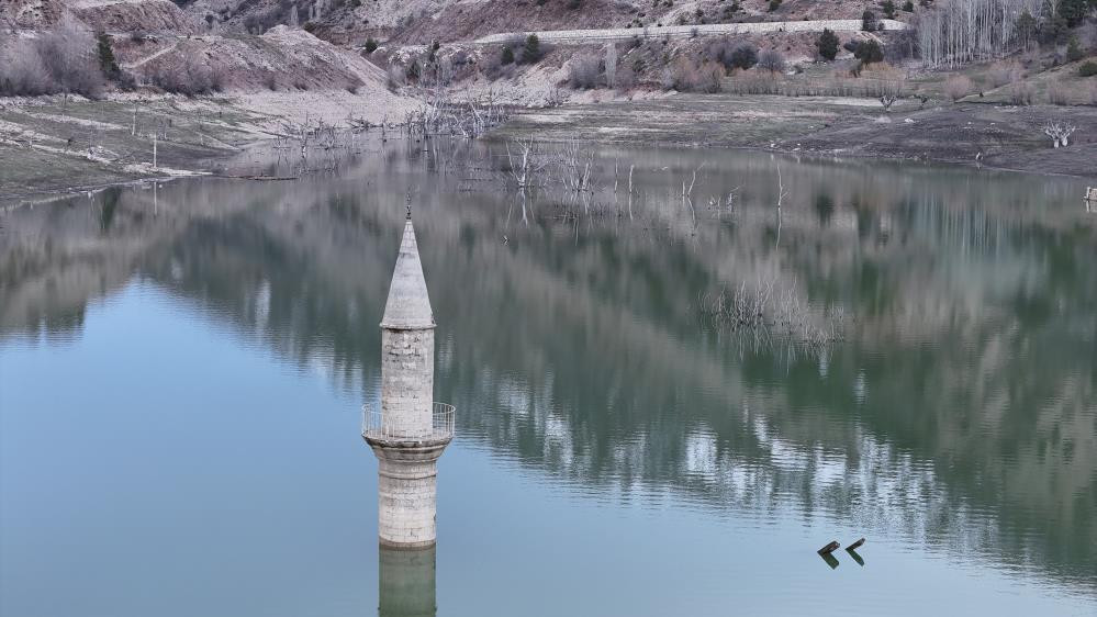  1 yıl sonra yeniden kayboldu