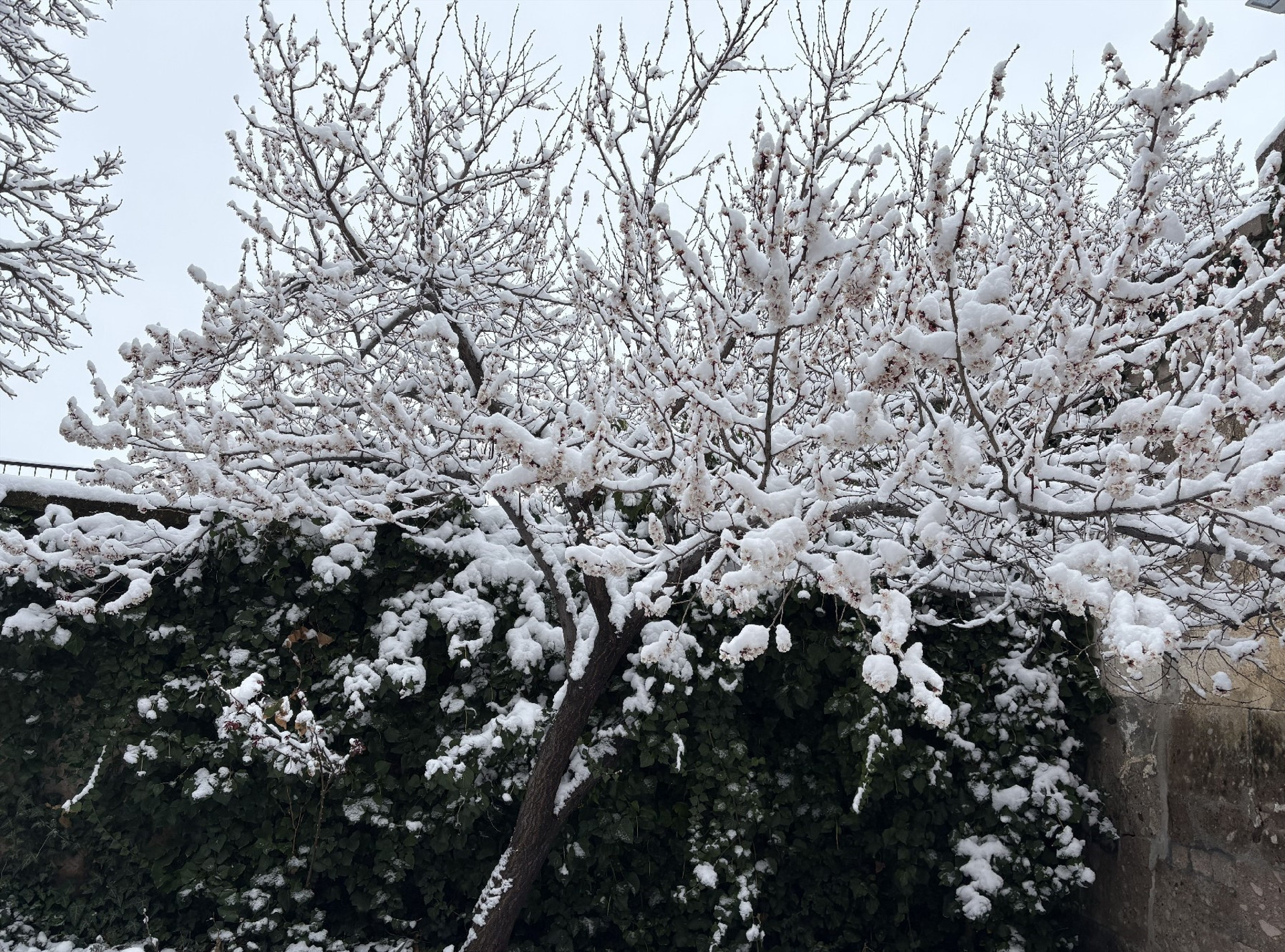 Bahar yerini kışa bıraktı Nisan ayında 4 metre karla mücadele... Birçok il beyaza büründü