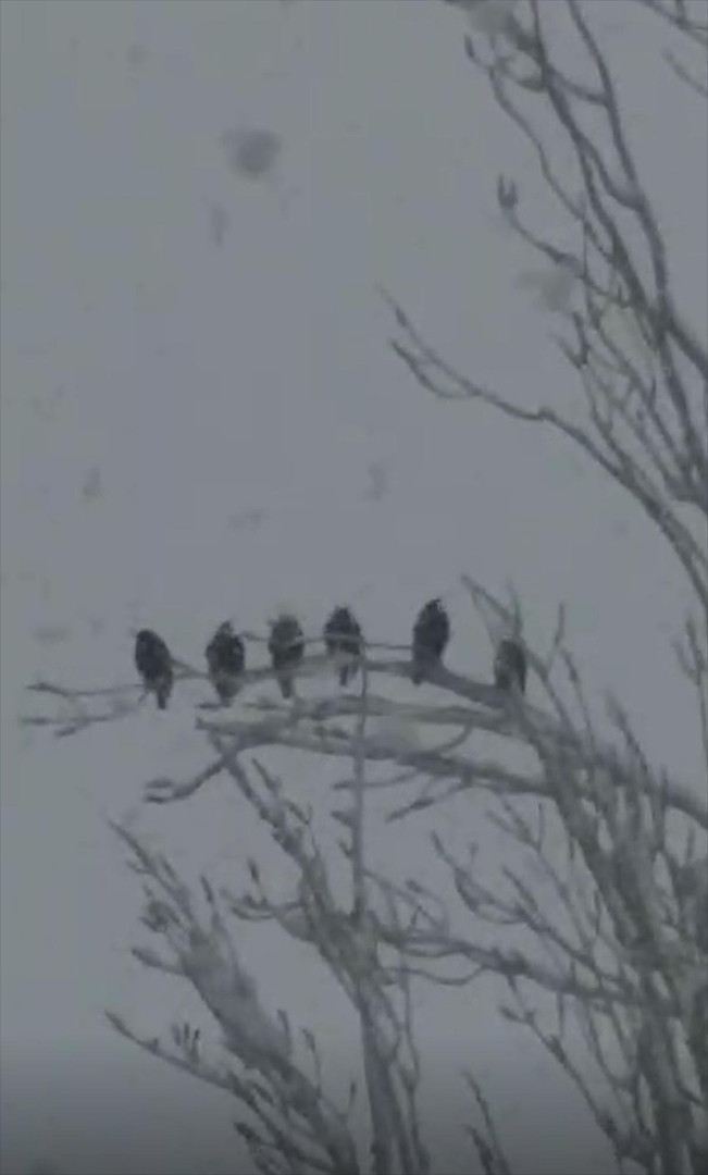 KARA YOLLARI KAPANDI