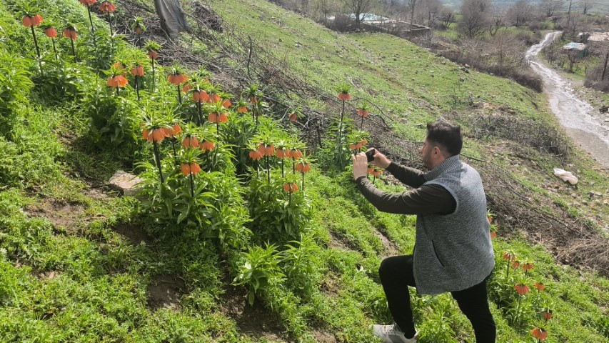  Dokunulmaz tür için ilçeye geliyorlar