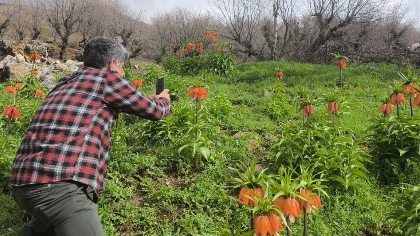  Dokunulmaz tür için ilçeye geliyorlar
