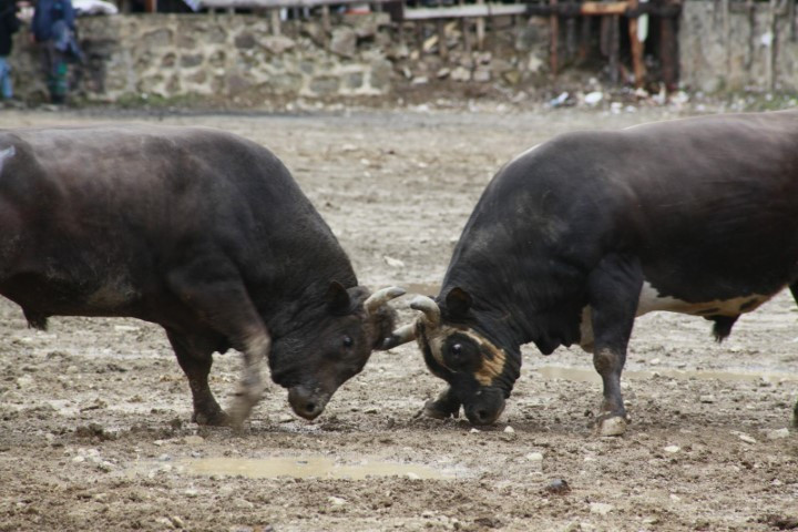 Binlerce kişi heyecanla izledi Binlerce kişi heyecanla izledi