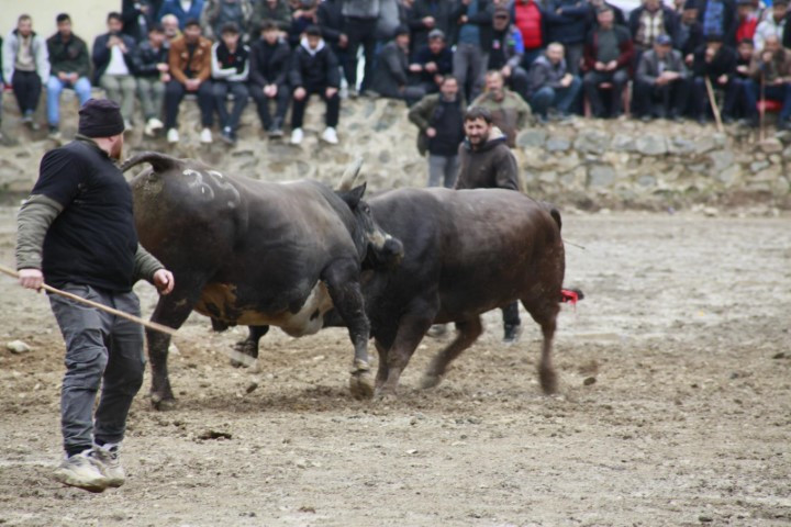 Binlerce kişi heyecanla izledi Binlerce kişi heyecanla izledi