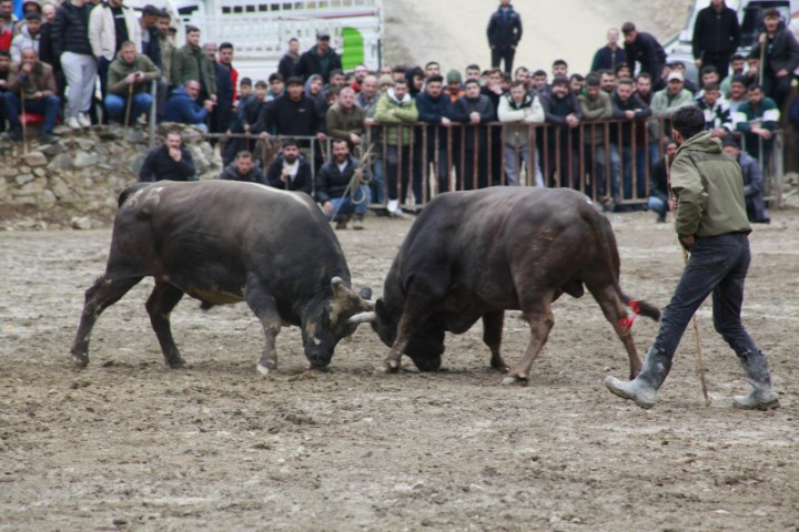 Binlerce kişi heyecanla izledi Binlerce kişi heyecanla izledi